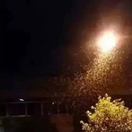 白蟻危害大，4-6月份進入其活躍期 防治白蟻不容忽視！